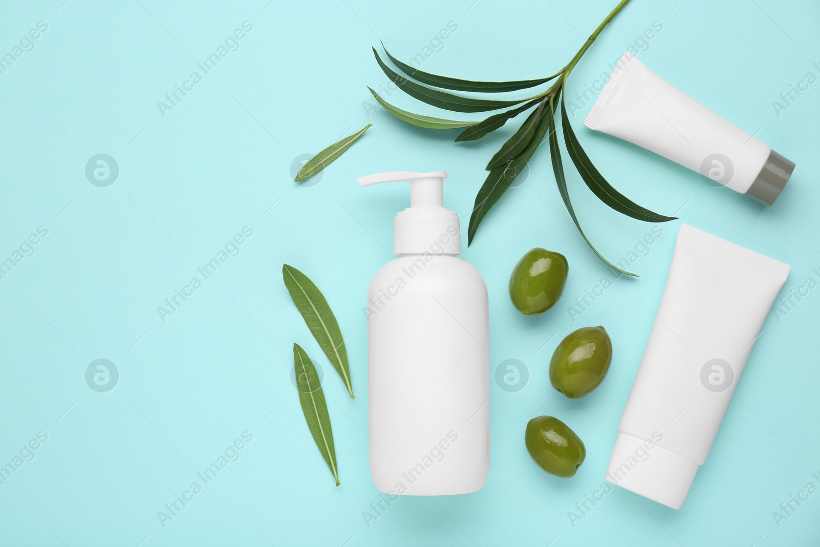 Photo of Cosmetic products with olive essential oil on light turquoise background, flat lay. Space for text