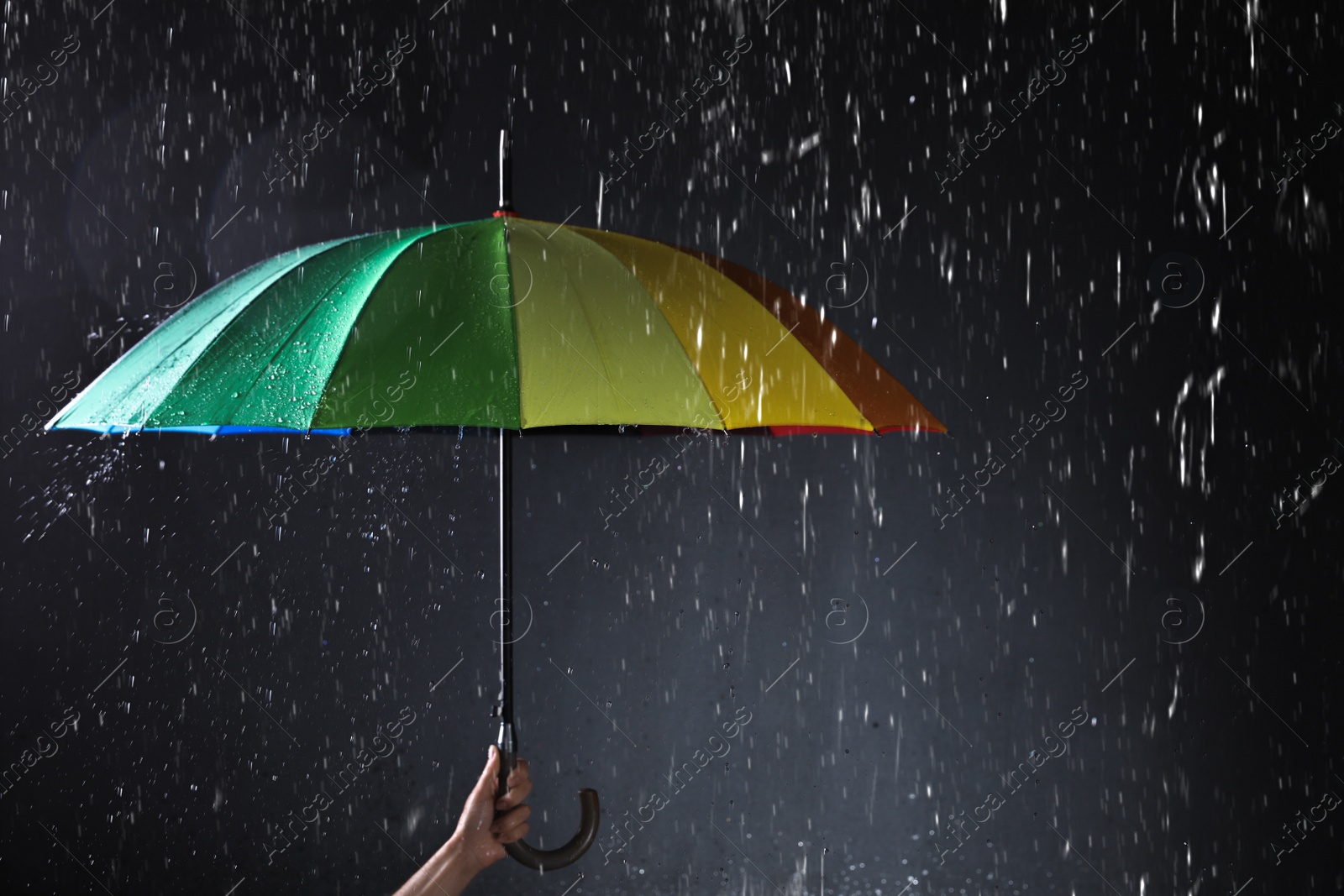 Photo of Woman holding bright umbrella under rain on dark background, closeup