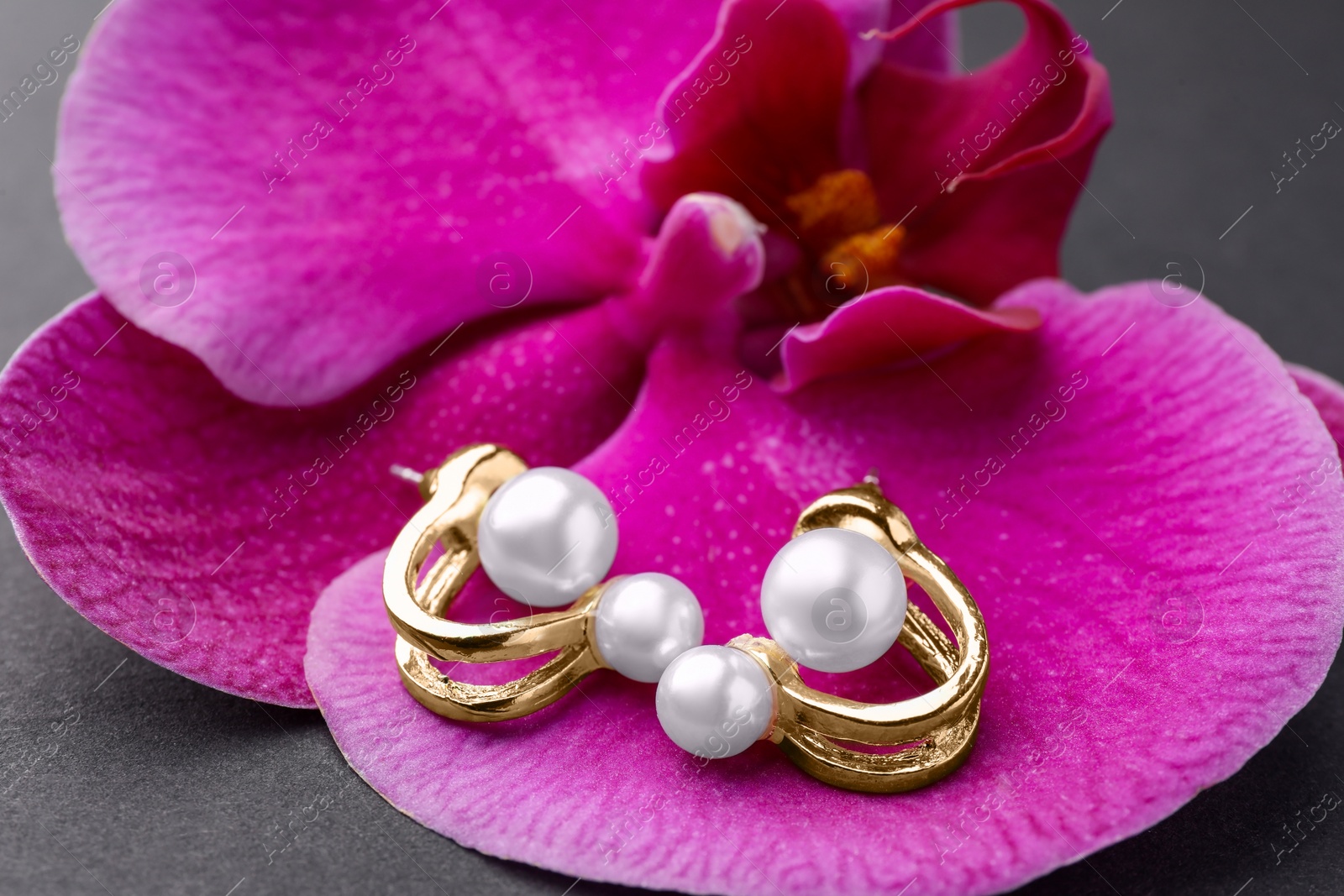 Photo of Elegant pearl earrings and orchid flower on black background, closeup