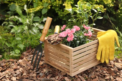 Bark chips, wooden box with flowers, gloves, fork and trowel in garden. Space for text