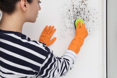 Woman in rubber gloves removing mold from window slope with brush in room