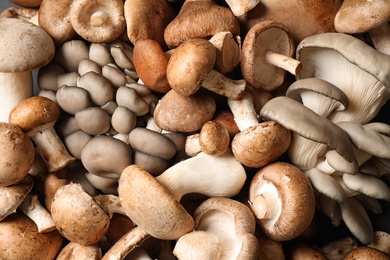 Fresh wild mushrooms as background, top view. Edible fungi