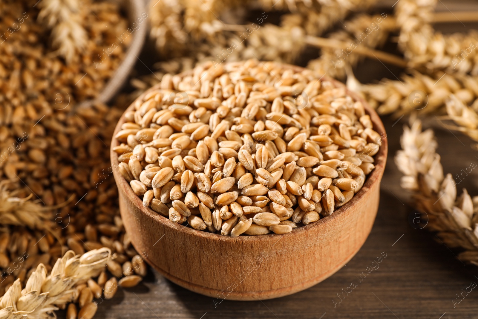 Photo of Wheat grains with spikelets on wooden table, closeup