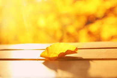 Photo of Dry autumn leaf on wooden planks against bright blurred background