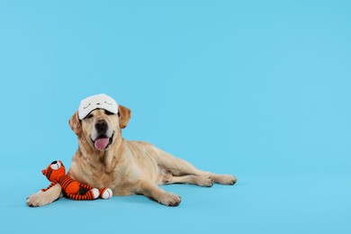 Photo of Cute Labrador Retriever with sleep mask and crocheted tiger resting on light blue background, space for text