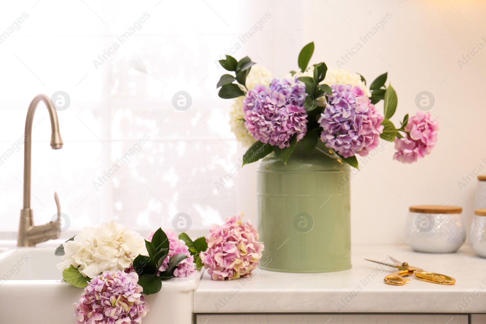 Photo of Bouquet with beautiful hydrangea flowers in can and scissors on light countertop