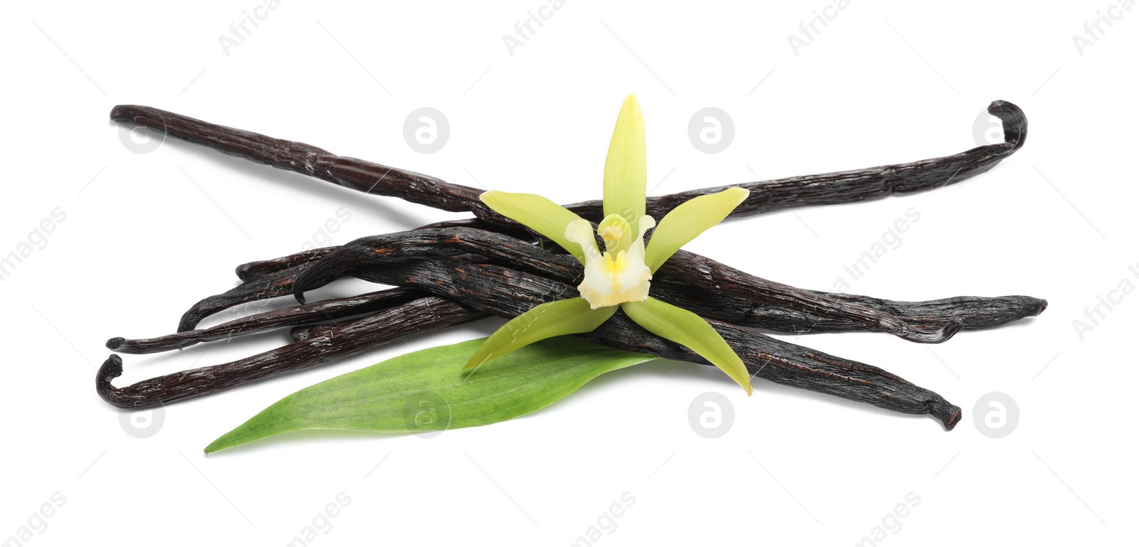 Photo of Vanilla pods, beautiful flower and green leaf isolated on white