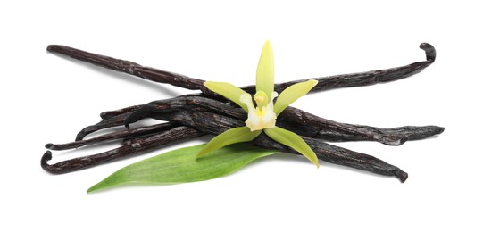 Photo of Vanilla pods, beautiful flower and green leaf isolated on white