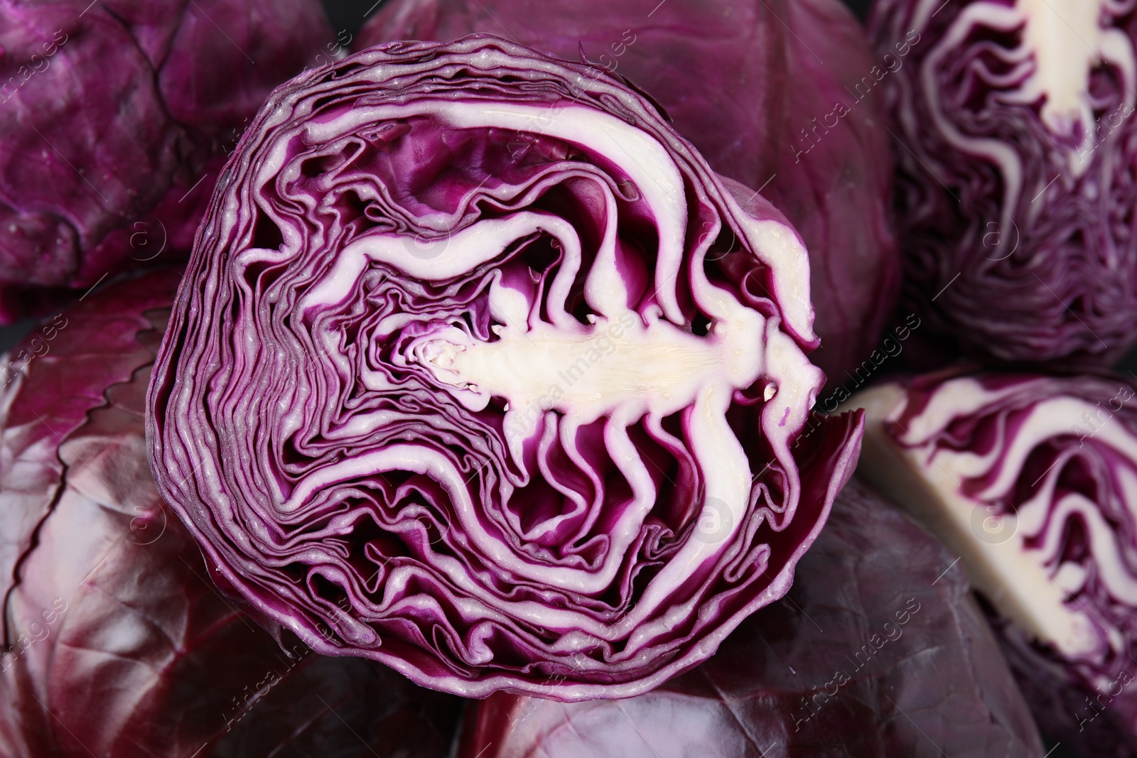 Photo of Cut and whole red cabbages as background, closeup