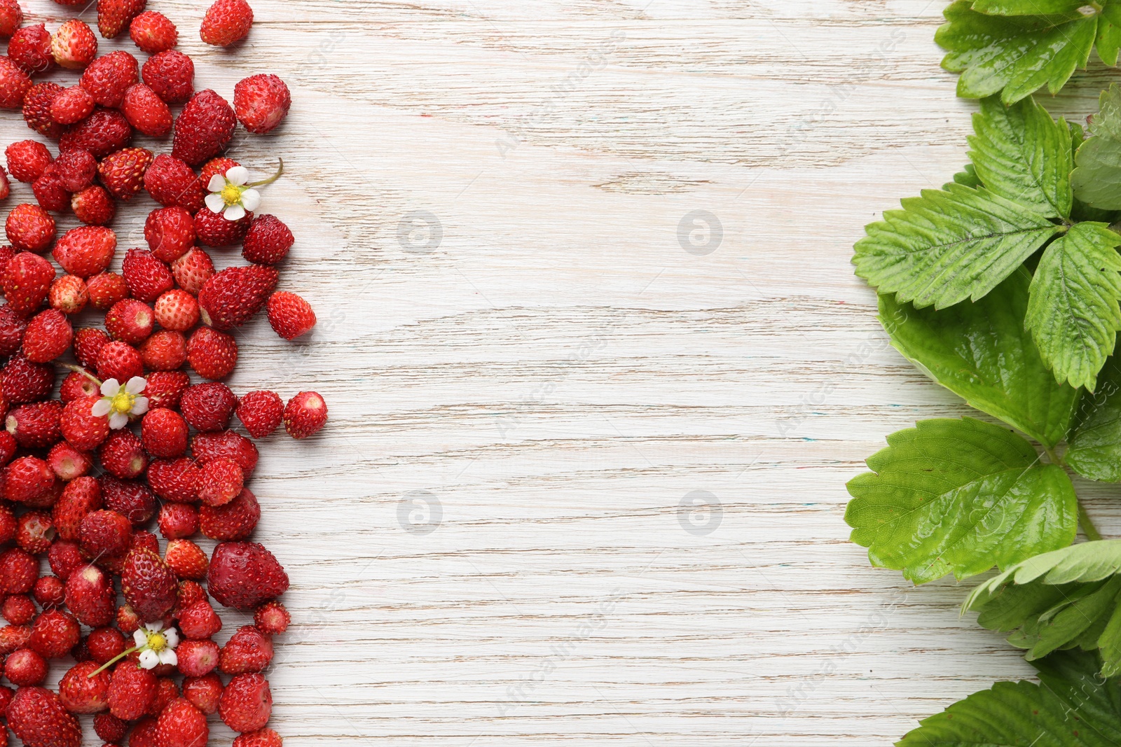 Photo of Many fresh wild strawberries, flowers and leaves on white wooden table, flat lay. Space for text