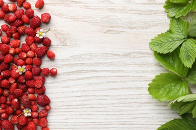 Many fresh wild strawberries, flowers and leaves on white wooden table, flat lay. Space for text