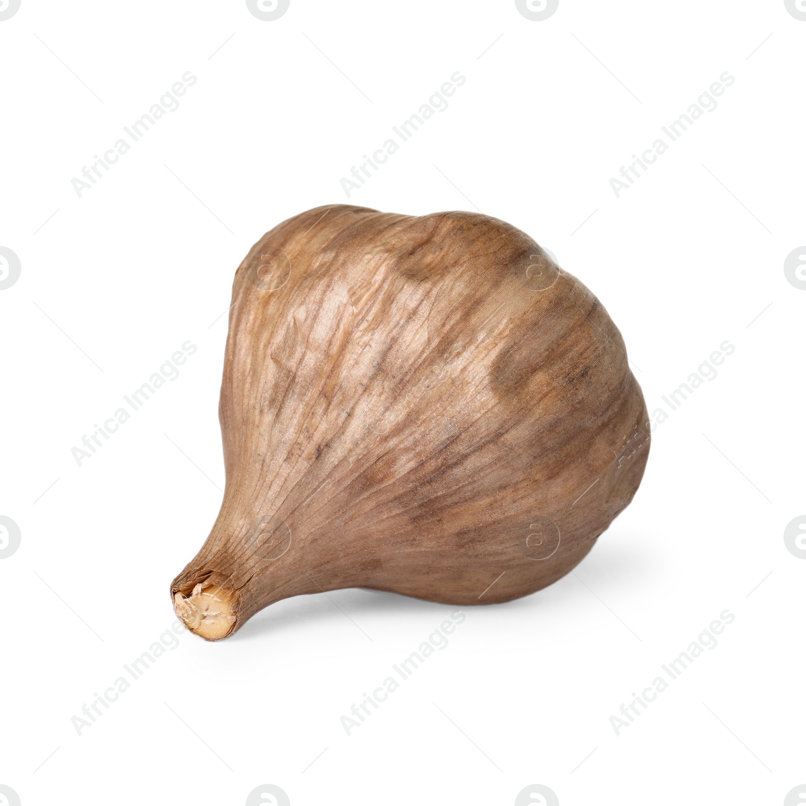 Photo of Unpeeled bulb of black garlic on white background