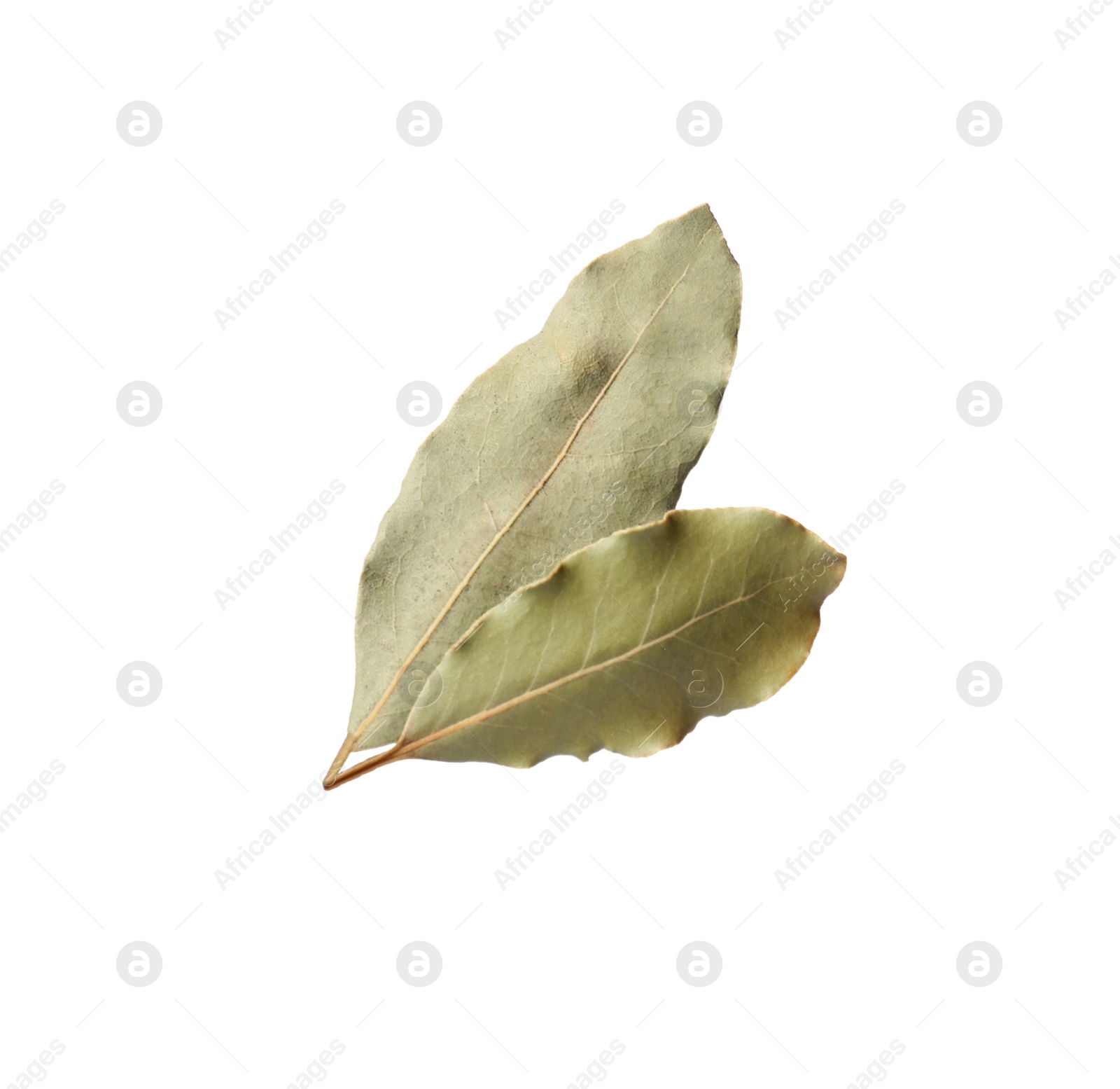 Photo of Two aromatic bay leaves on white background