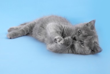 Photo of Cute little grey kitten lying on light blue background
