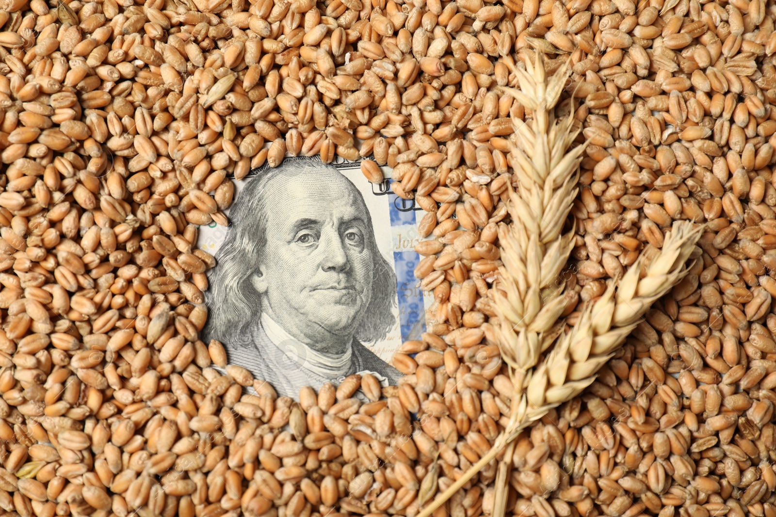 Photo of Dollar banknote, wheat ears and grains, top view. Agricultural business