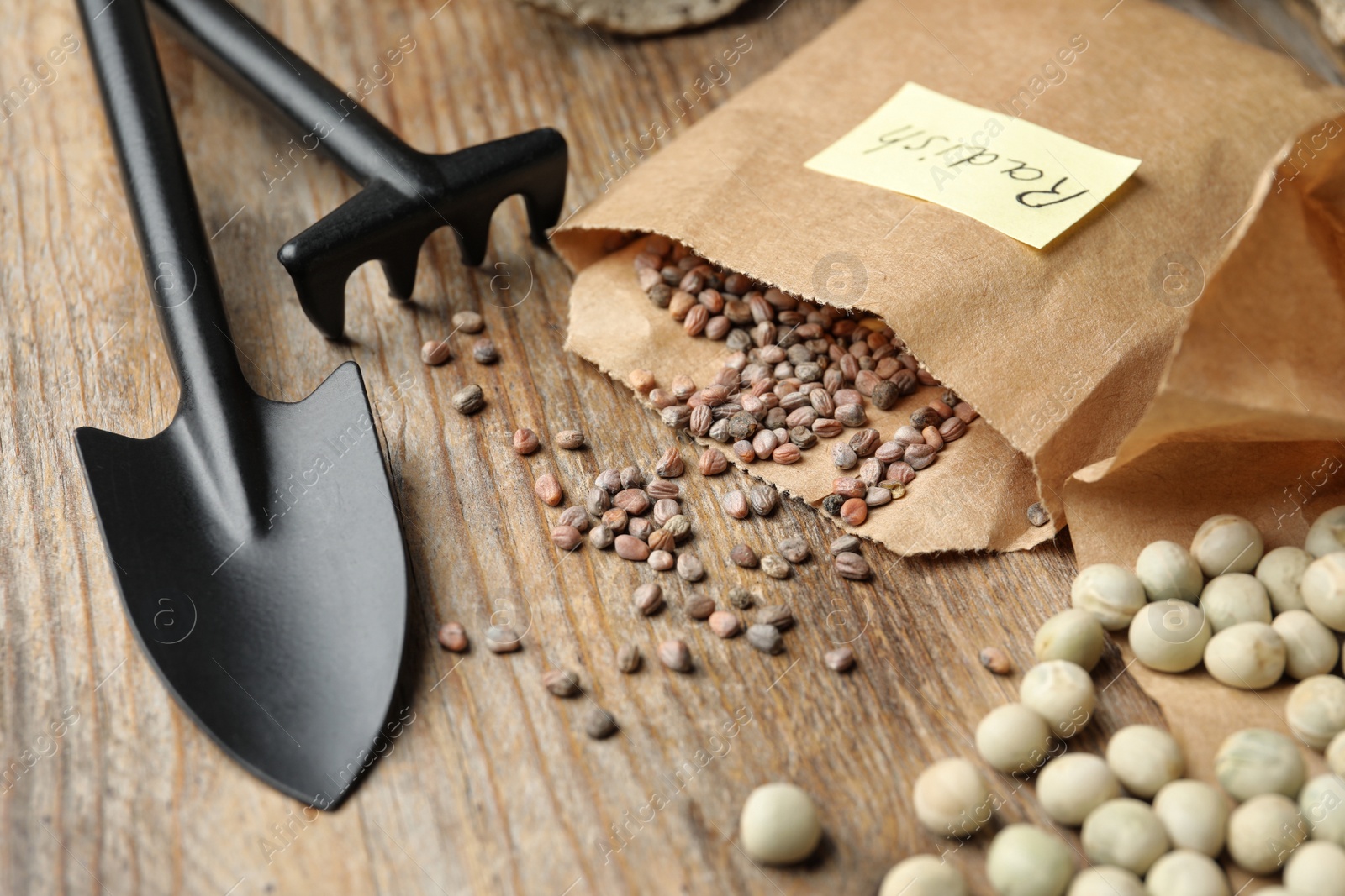 Photo of Vegetable seeds and gardening equipment on wooden table, closeup