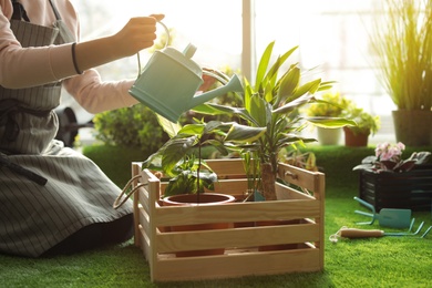 Photo of Woman taking care of plants indoors, closeup. Home gardening