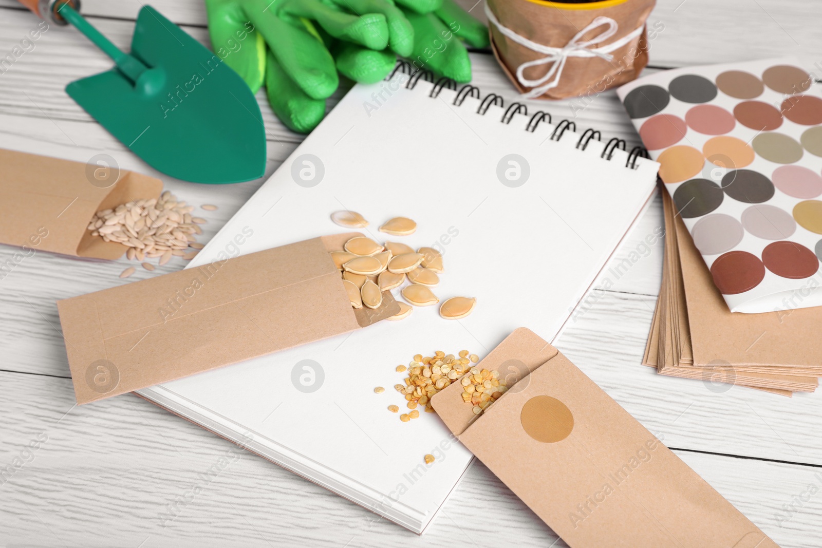 Photo of Many different vegetable seeds and notebook on white wooden table