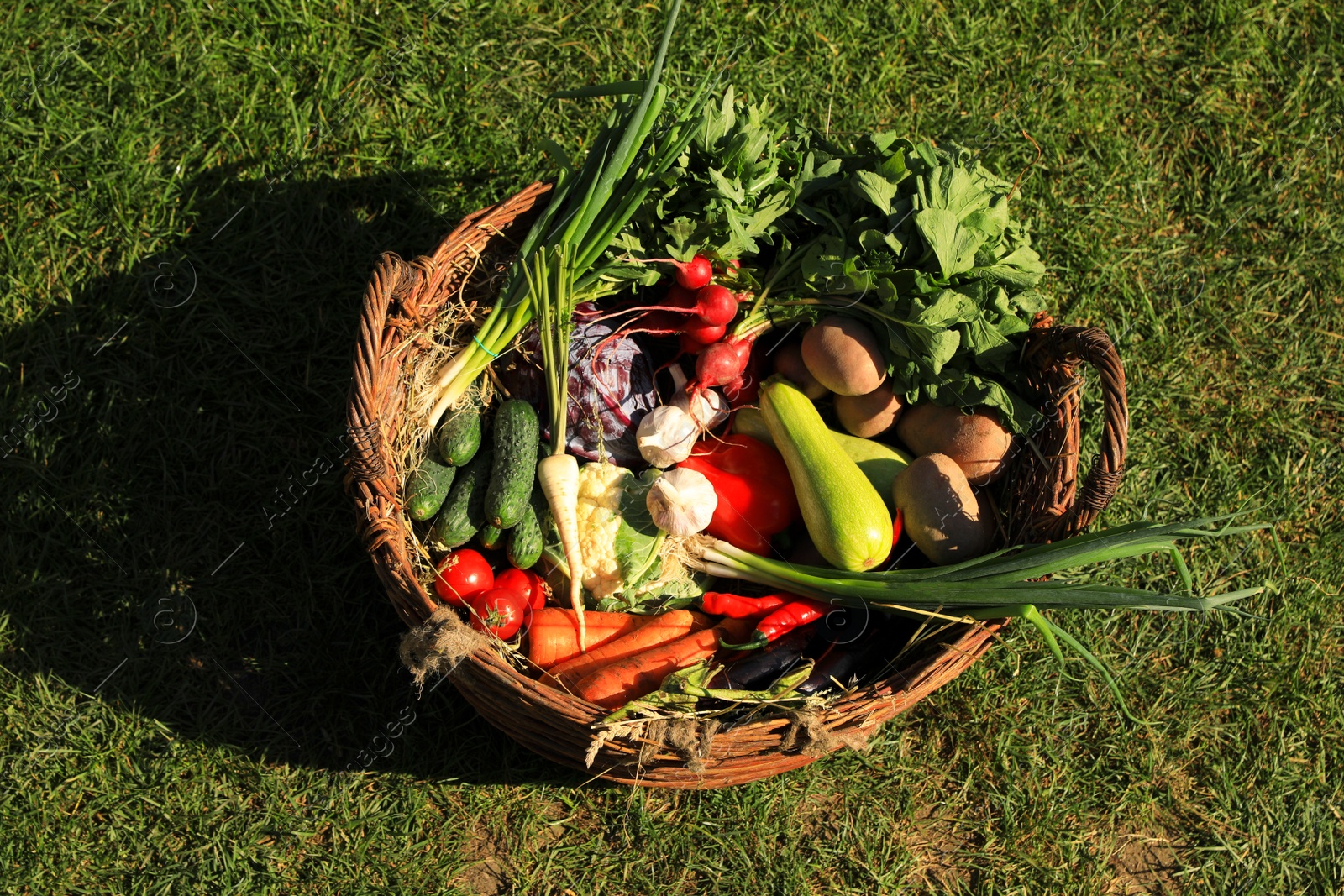 Photo of Different fresh ripe vegetables in wicker basket on green grass, top view