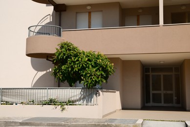 Beautiful blooming tree near entrance of house with large balcony