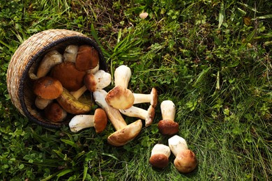 Photo of Wicker basket and fresh wild mushrooms outdoors, above view. Space for text