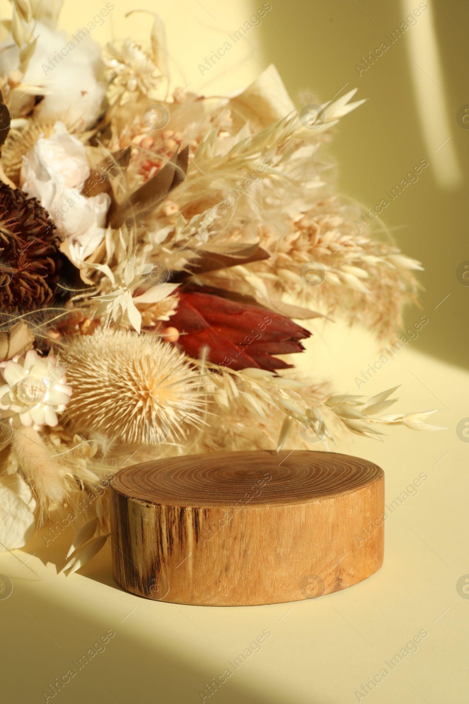 Photo of Presentation of product. Wooden podium and dry flowers on yellow background