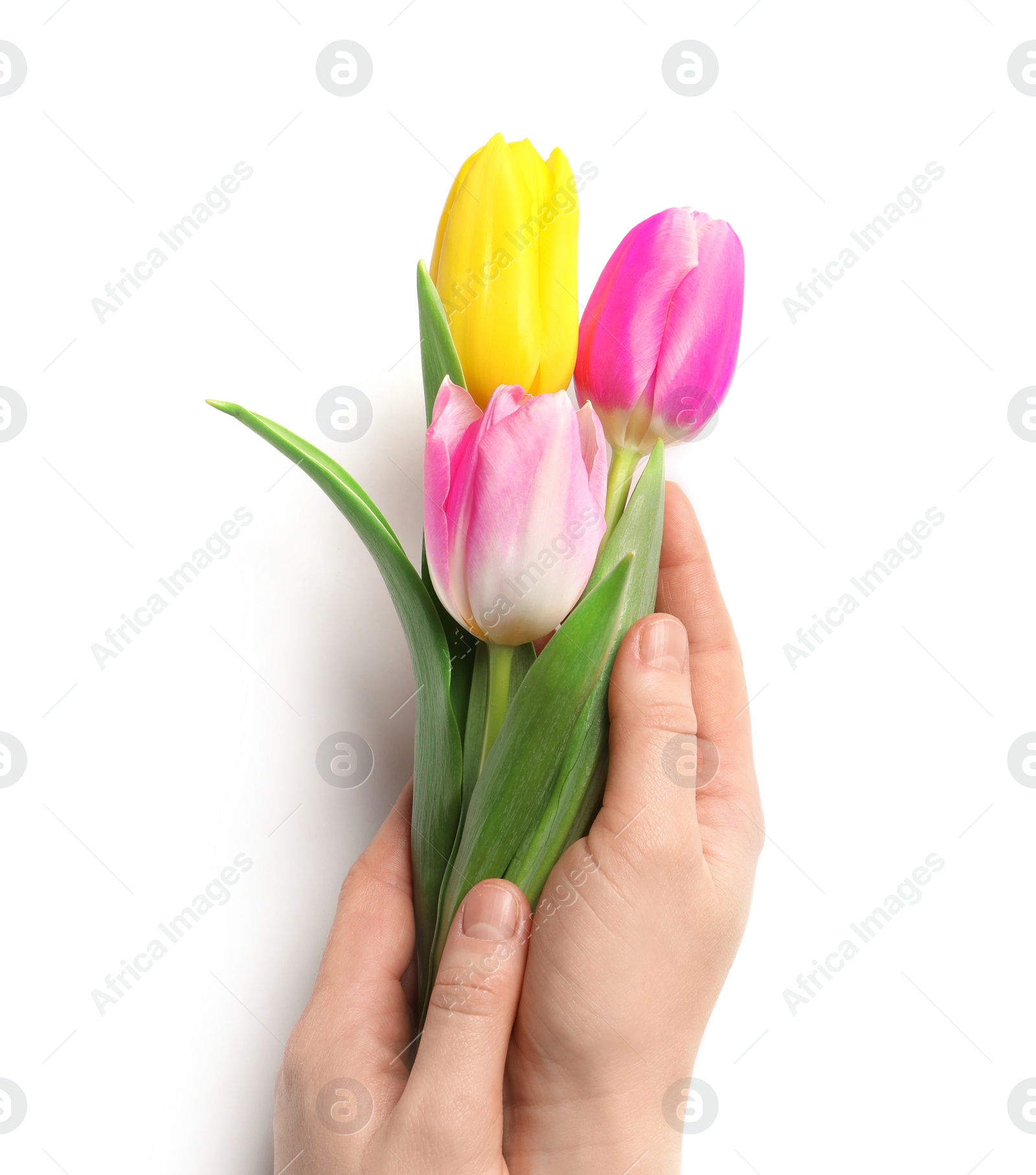 Photo of Girl holding beautiful spring tulips on light background, closeup. International Women's Day