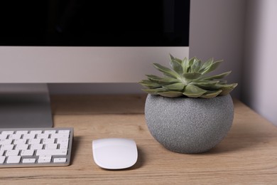 Beautiful green houseplant and modern computer on wooden table indoors