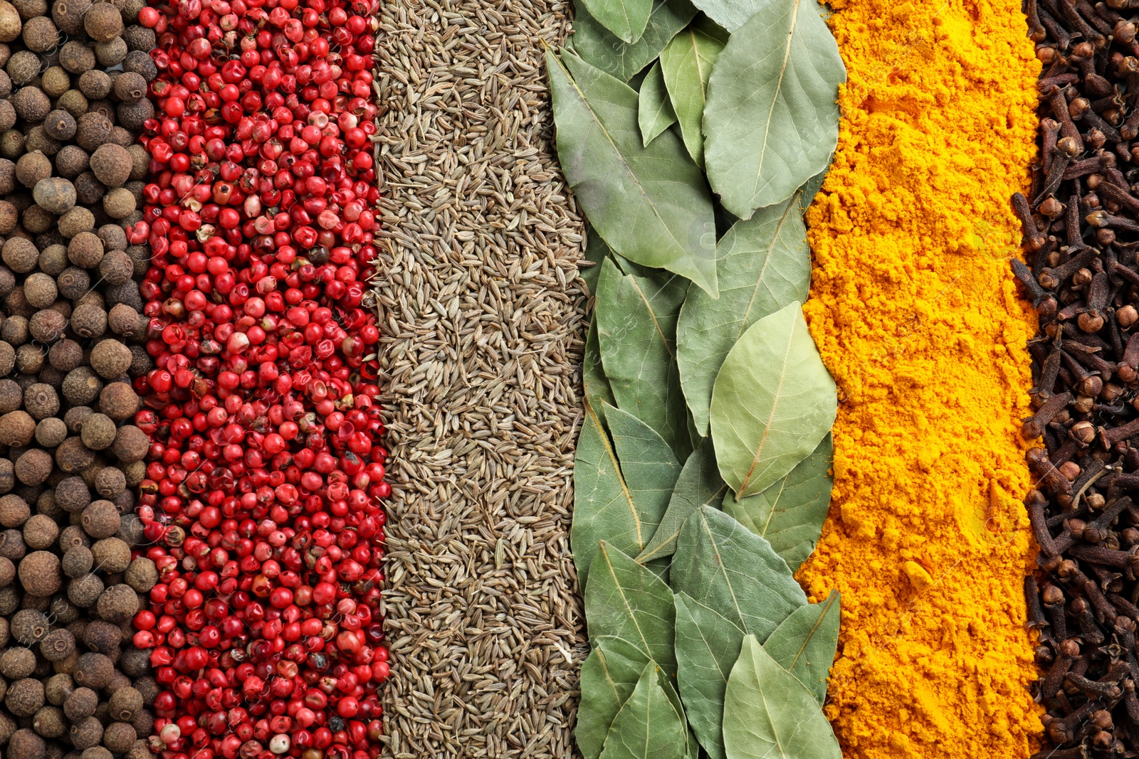 Photo of Set of different spices as background, top view