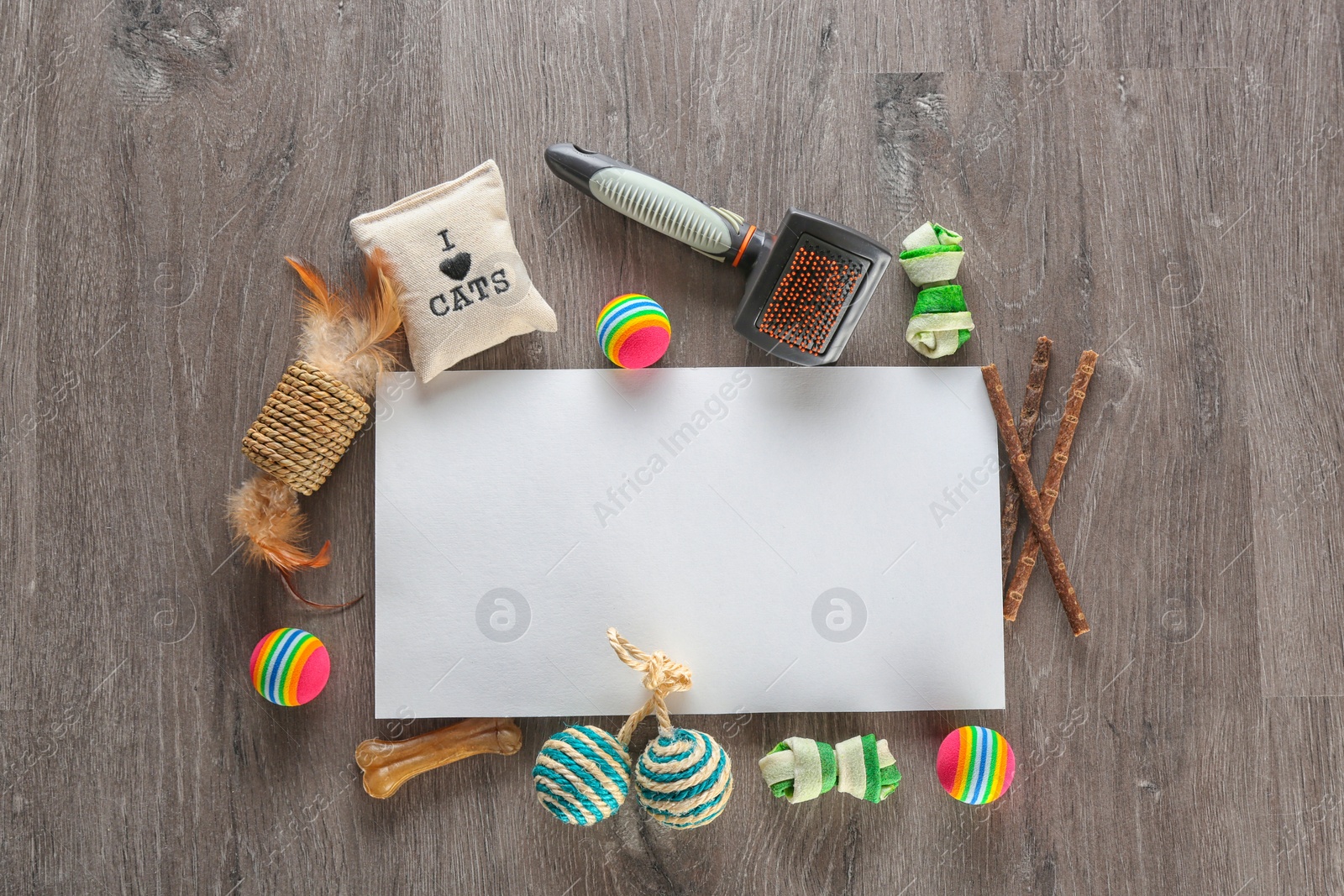 Photo of Flat lay composition with cat accessories on wooden background