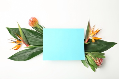 Creative composition with tropical leaves and strelitzia flowers on white background