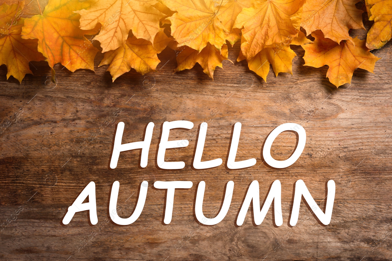 Image of Hello Autumn text and golden autumn leaves on wooden background, top view