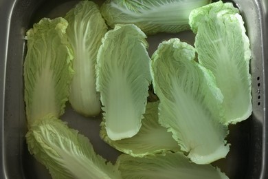 Chinese cabbage leaves in water inside sink, top view