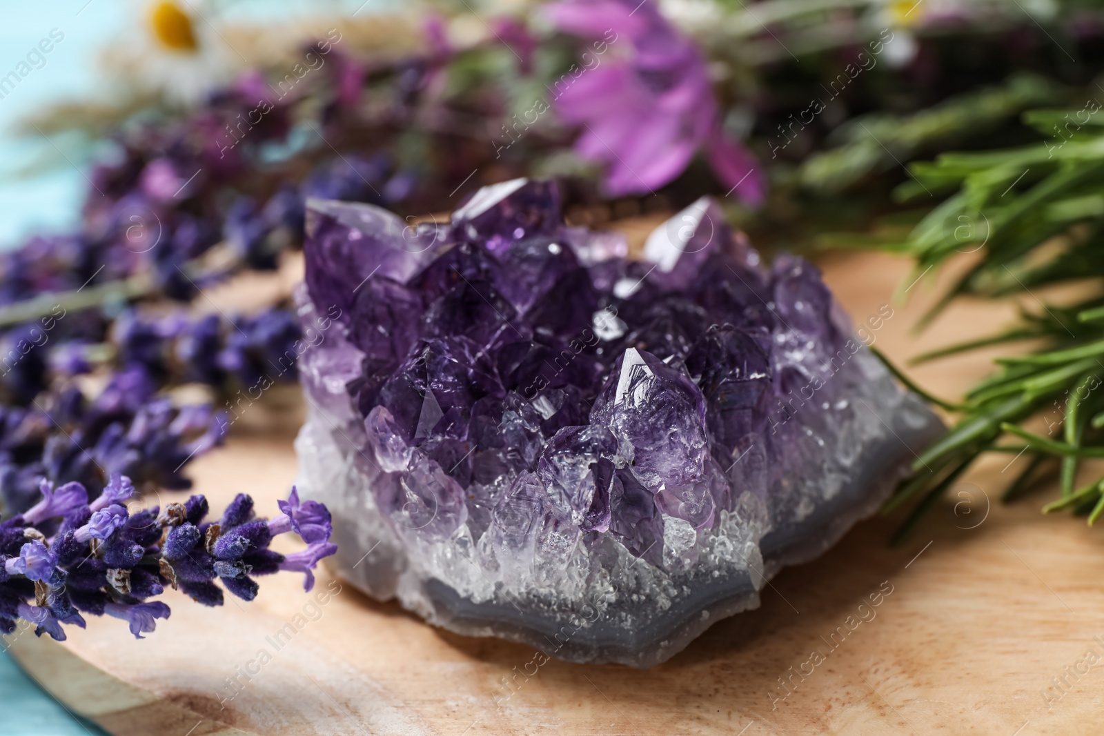 Photo of Amethyst and healing herbs on wooden board, closeup