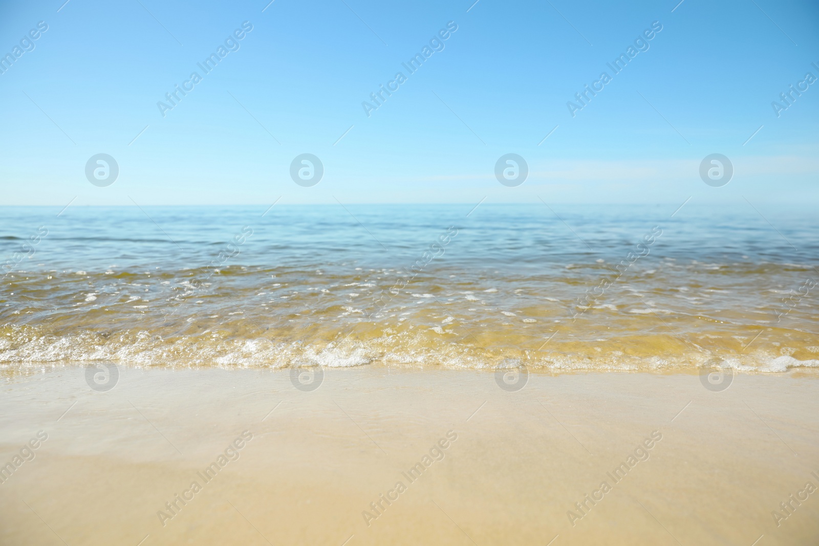 Photo of Sea wave rolling on sandy beach in summer, closeup