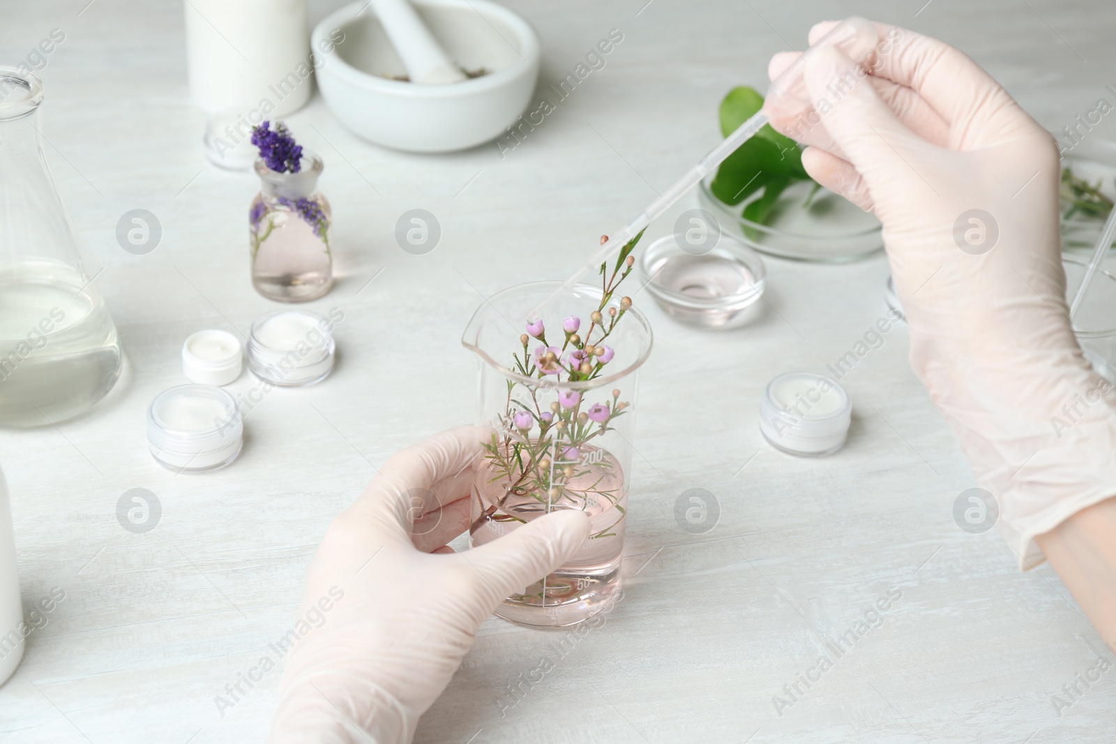 Photo of Scientist developing cosmetic product in laboratory, closeup