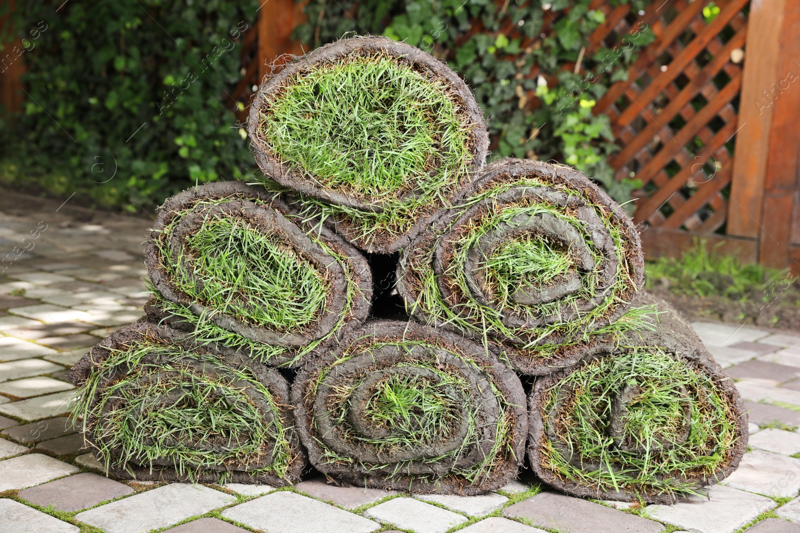 Photo of Rolls of sod with grass on backyard