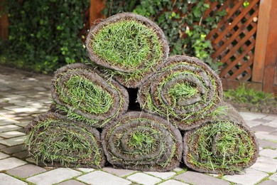 Photo of Rollssod with grass on backyard