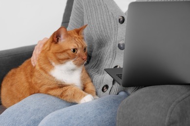 Photo of Woman with cat working in armchair at home , closeup