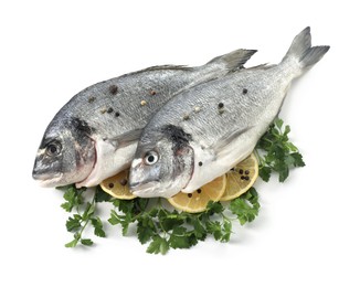 Photo of Raw dorado fish, parsley, lemon slices and peppercorns isolated on white, top view