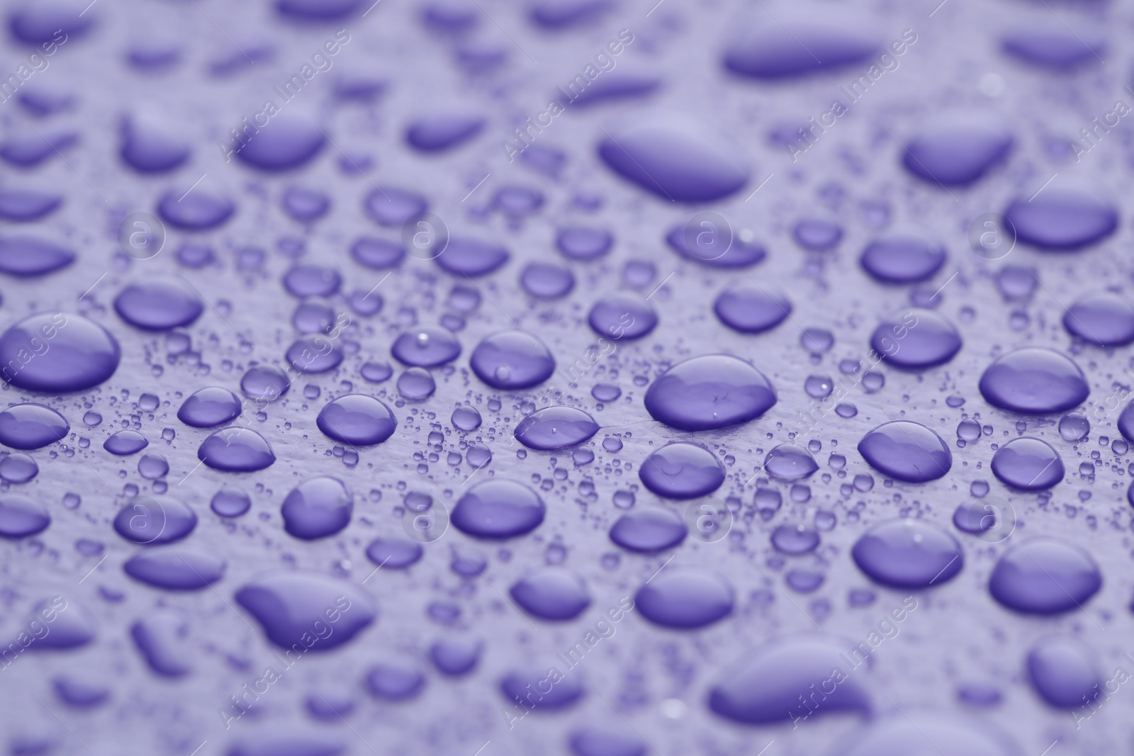 Photo of Water drops on lilac background, closeup view