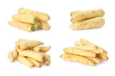 Image of Set of fresh carrots on white background