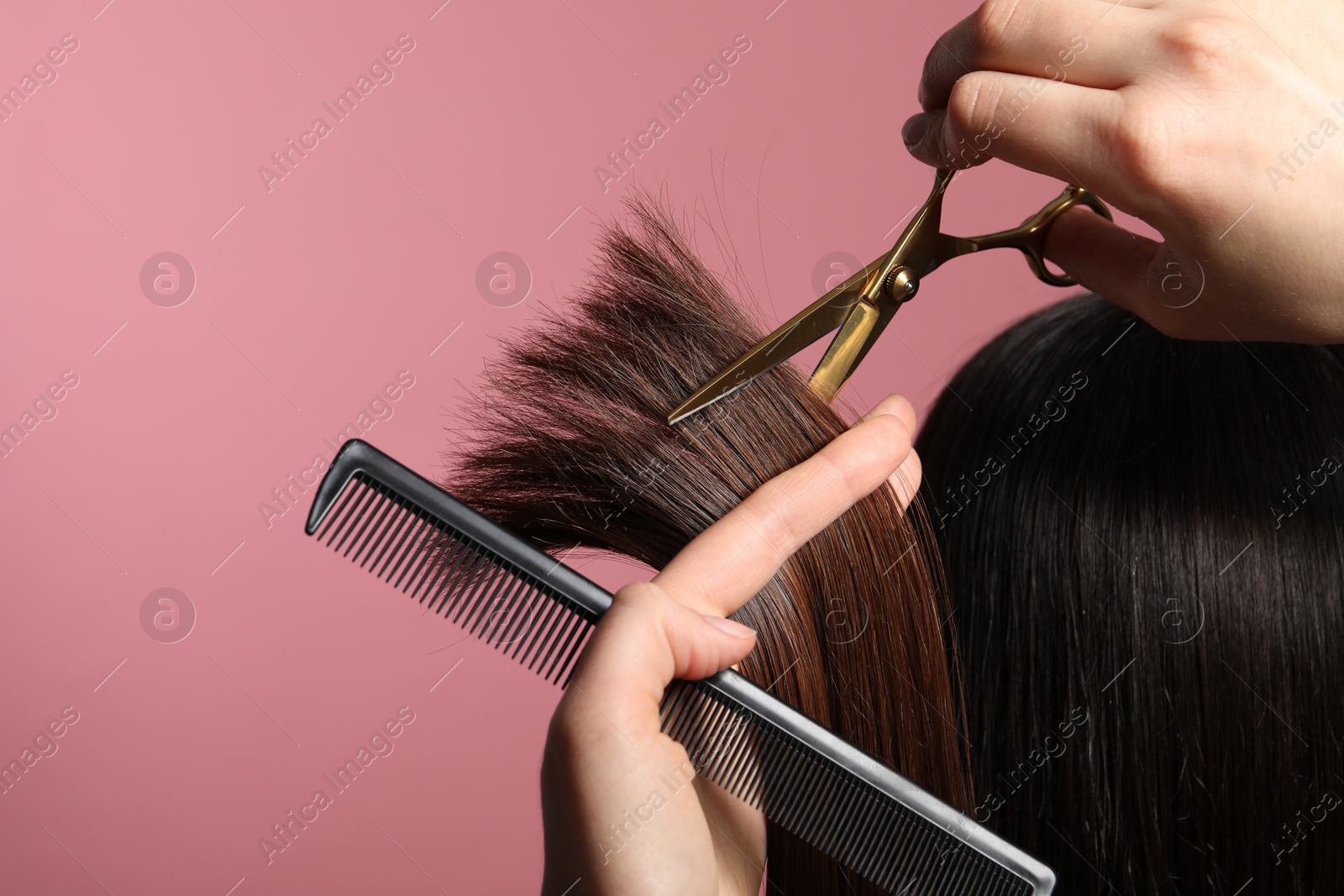 Photo of Hairdresser cutting client's hair with scissors on pink background, closeup