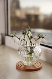 Spring is coming. Beautiful snowdrops on windowsill indoors