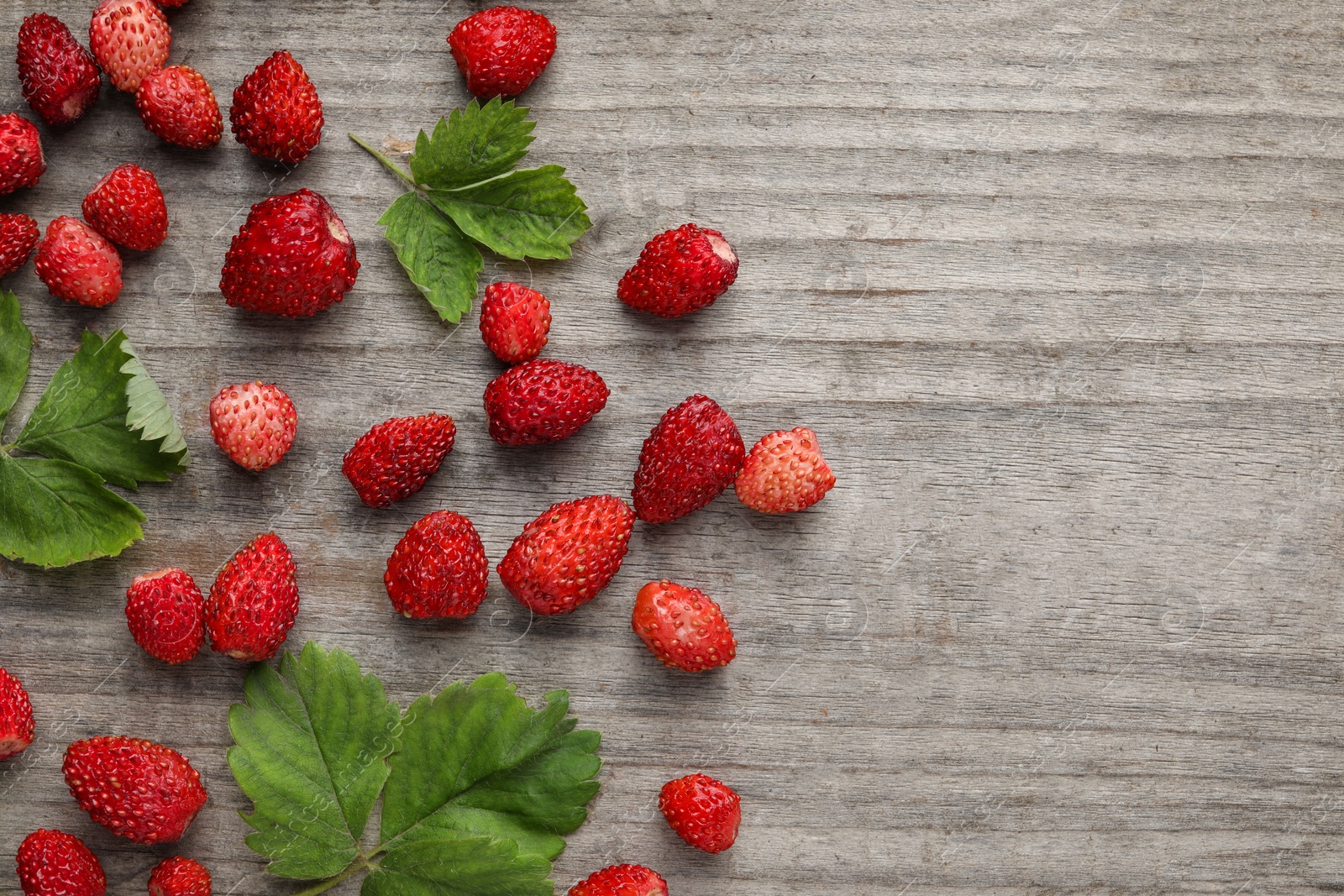 Photo of Many fresh wild strawberries and leaves on wooden table, flat lay. Space for text