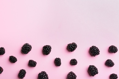 Photo of Fresh ripe blackberries on pink background, flat lay. Space for text