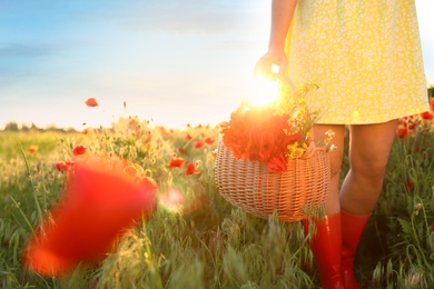 Photo of Woman with basket of poppies and wildflowers in sunlit field, closeup. Space for text
