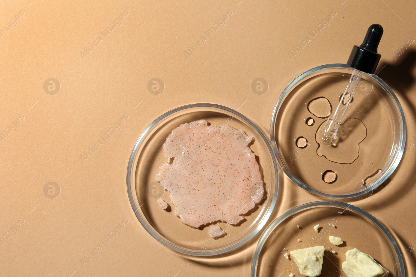 Photo of Flat lay composition with Petri dishes on beige background. Space for text