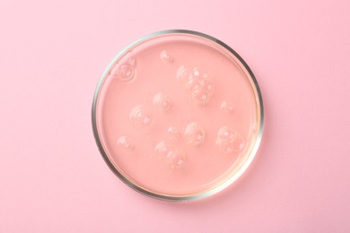 Photo of Petri dish with liquid sample on pink background, top view
