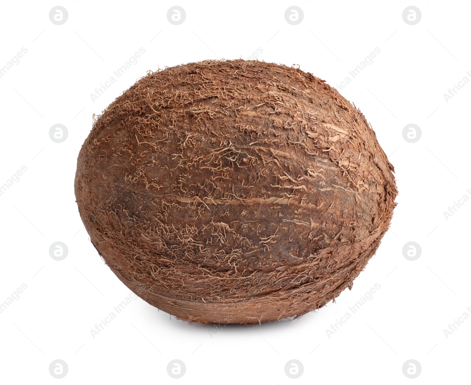 Photo of Fresh ripe whole coconut isolated on white